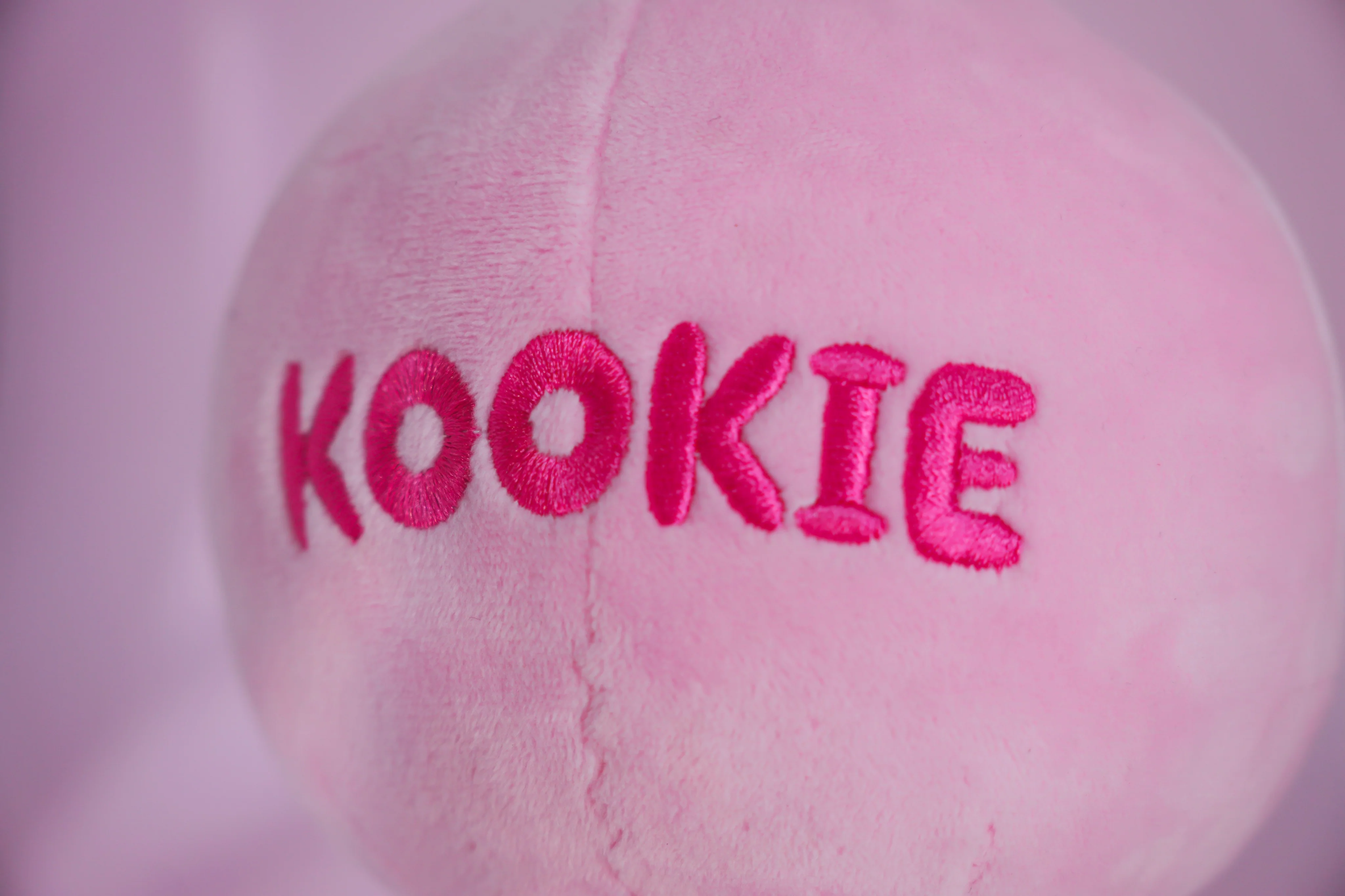 Kookie Plush Keychain - Image 4