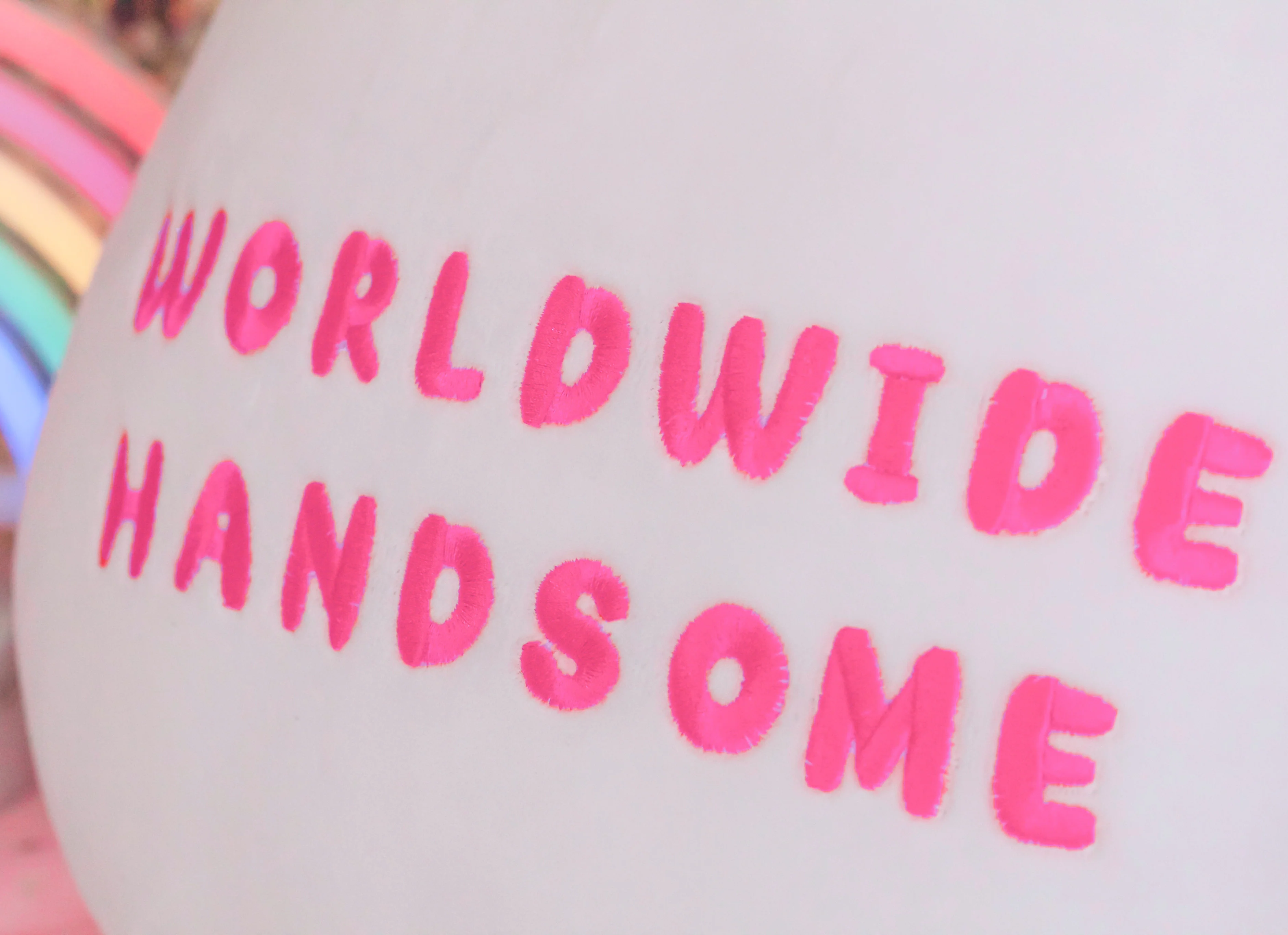 Worldwide Handsome Plushie - Image 4